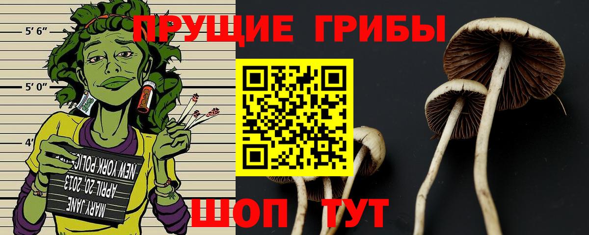 Псилоцибиновые грибы прущие грибы Коломна