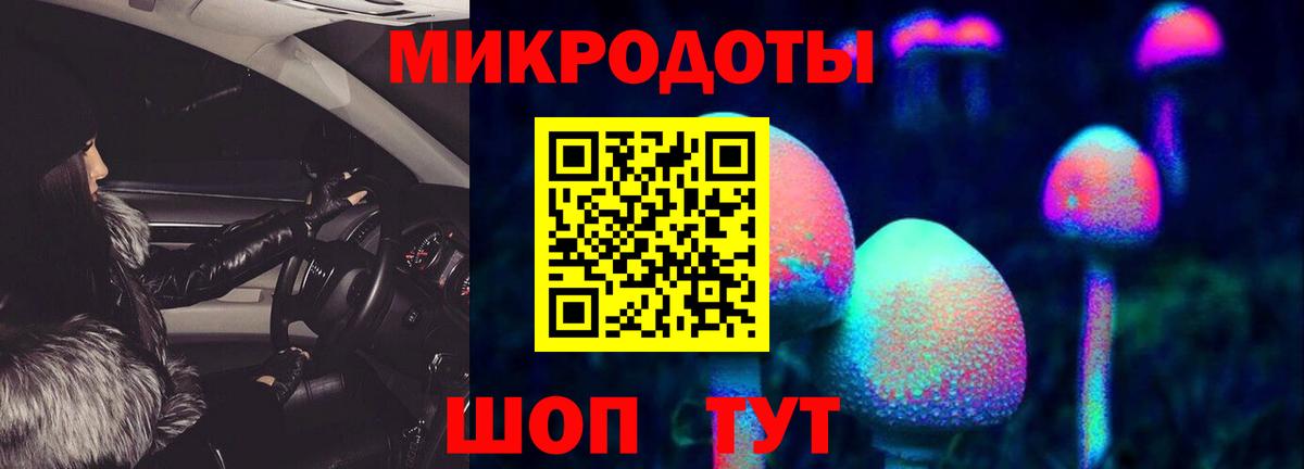 Псилоцибиновые грибы Cubensis  Вход с VPN  Псилоцибиновые грибы Cubensis  Коломна 